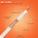 BNC Cable